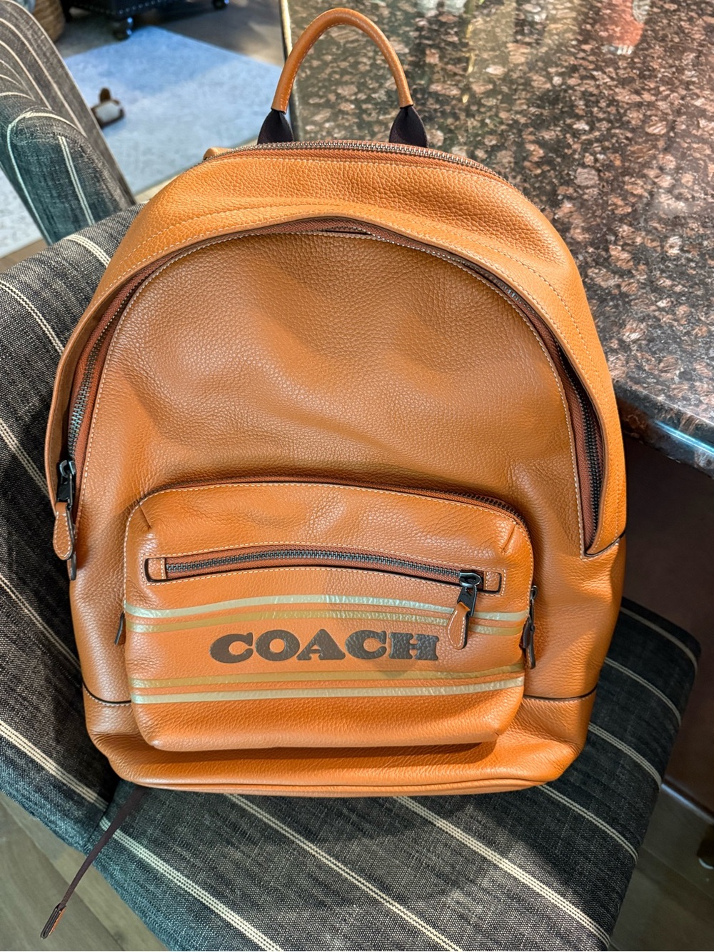 COACH West backpack w/ Coach stripe - Picture 3 of 9